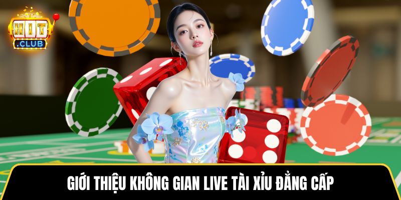 Giới thiệu không gian live Tài Xỉu đẳng cấp