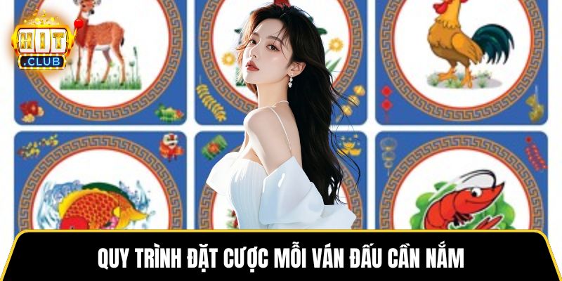 Quy trình đặt cược mỗi ván đấu cần nắm